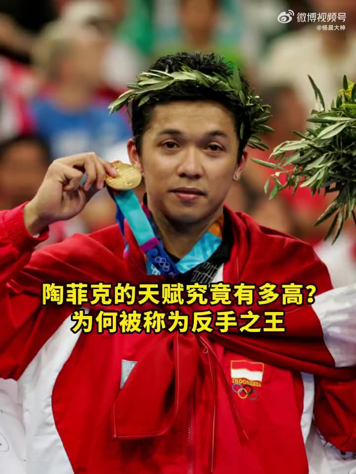 法国羽毛球队完胜日本羽毛球队，陶菲克爆发神勇的简单介绍