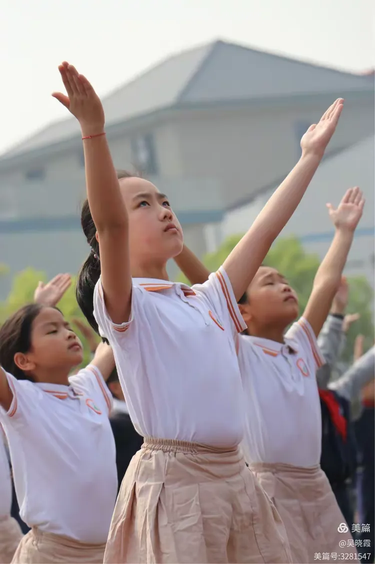 精彩瞬间反复回味，惊险角逐浸透激情目不暇接！的简单介绍