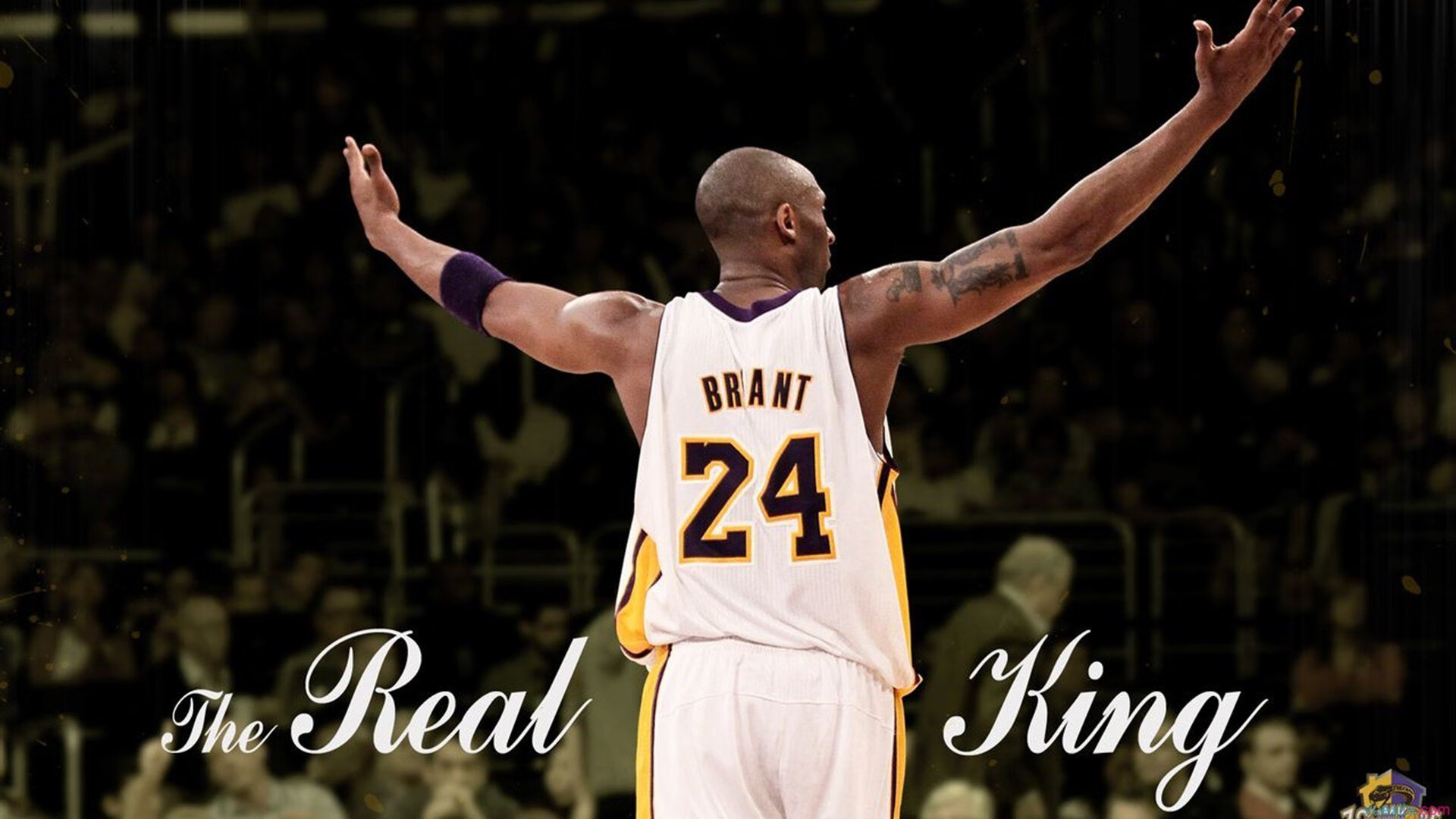 弗拉霍维奇一锤定音，巴拉圭冲垮伊朗防线背后的战术博弈