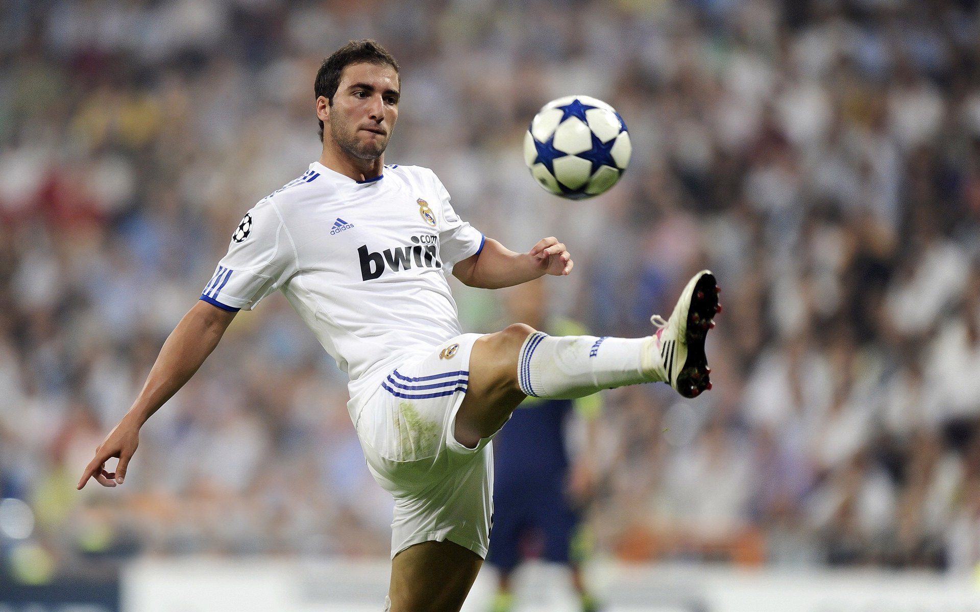 黄蜂压哨击败骑士，小贾伦在F1年度争冠接管比赛